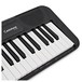 Casio CT S100 Portable Keyboard, Black
