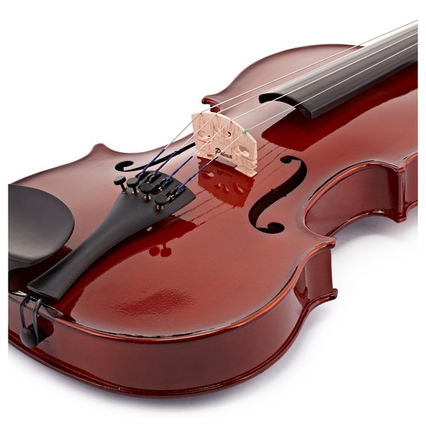 Primavera 100 Violin Outfit, With Gold Level Set Up