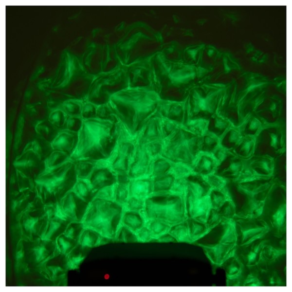Eurolite LED WF-30 Water Effect, Preview 2