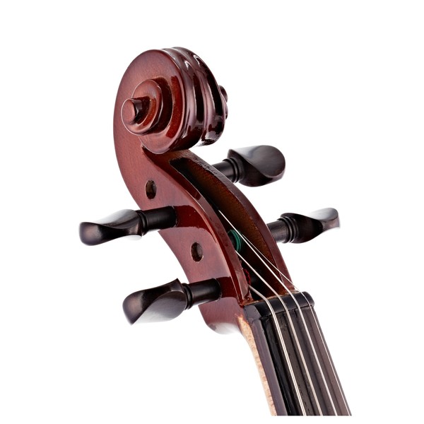 Primavera 100 Violin Outfit, 1/2, With Gold Level Set Up