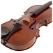 Primavera Loreato Violin Outfit, Full Size, Gold Level Set up