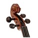 Primavera Loreato Violin Outfit, Full Size, Gold Level Set up
