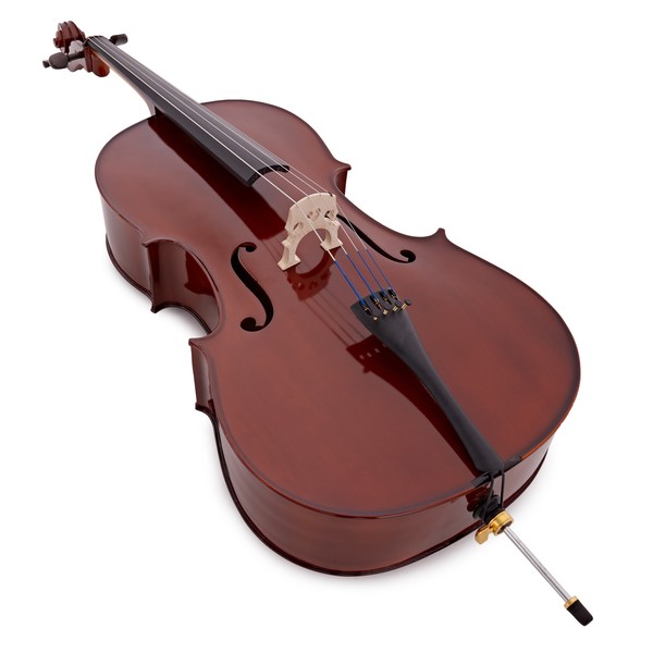 Primavera 100 Cello Outfit, Full Size, Gold Level Set up