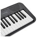 Casio CT S300 Portable Keyboard, Black
