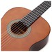 Tanglewood 4/4 Classical Guitar