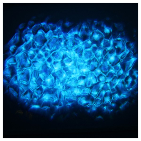 Equinox Waterwave Water Effect Light, Effect Preview 2