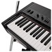 Korg Grandstage 73 Stage Piano with stand