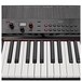 Korg Grandstage 73 Stage Piano with stand