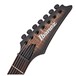 Ibanez RGD71AL Axion Label 7-String, Antique Brown Stained Burst