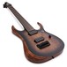 Ibanez RGD71AL Axion Label 7-String, Antique Brown Stained Burst