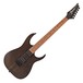 Ibanez RGRT421, Walnut Flat