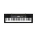 Casio CTK 2500 Portable Keyboard