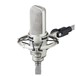 Audio Technica AT4047MP Large Diaphragm Condenser, Mounted in Shock Mount