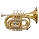 Levante by Stagg Pocket Trumpet, Lacquer, Front