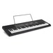 Casio CTK 2500 Portable Keyboard, Black, With Power Supply