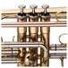 Levante by Stagg CR5205 Bb Cornet, Lacquer, Valves