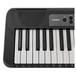 Casio LK S250 Portable Keyboard