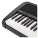 Korg B2N Digital Piano, Black