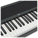 Korg B2N Digital Piano, Black