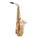 Yanagisawa AWO33 Alto Saxophone, Silver Bell, Brass Body and Bow