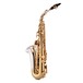 Yanagisawa AWO33 Alto Saxophone, Silver Bell, Brass Body and Bow