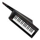 Korg RK100S2 Keytar, Black