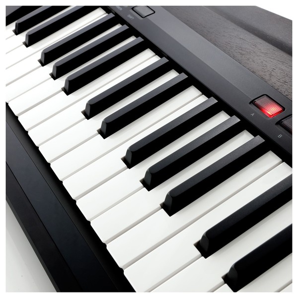 Korg RK100S2 Keytar, Black - Angle