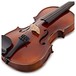 Gewa Allegro VL1 4/4 Violin Outfit, Bulletwood Bow and Oblong Case, F Holes