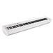 Korg D1 Digital Stage Piano, White