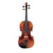 Gewa Allegro VL1 3/4 Violin Outfit, Bulletwood Bow and Oblong Case