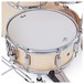 Pearl Decade Maple 22