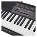 Casio CTK-2500 Portable Keyboard, Black