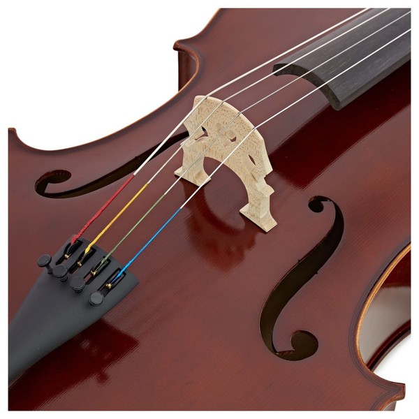 Gewa Allegro VC1 3/4 Cello, Bulletwood Bow and Bag, Bridge