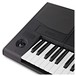 Korg PA300 Professional Arranger Keyboard