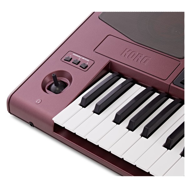 Korg Pa1000 Professional Arranger - Close up 1