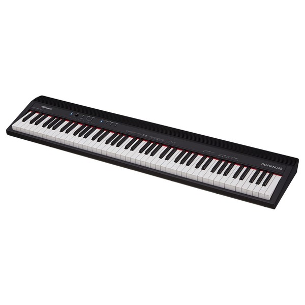Roland Go
