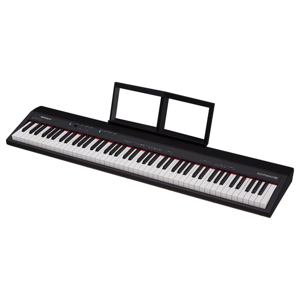 Roland Go