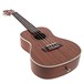 Sapele Concert Ukulele by Gear4music