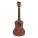 Sapele Concert Ukulele by Gear4music