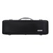 BAM Supreme Hightech Oblong Violin Case, Black with Silver Handle