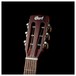 Cort AP550 Mahogany Acoustic, Open Pore Natural - headstock