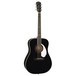 Fender FSR PM-1E Electro Acoustic, Black - tilt