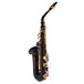 Yamaha YAS875EXB Custom Alto Saxophone, Black Lacquer, Back
