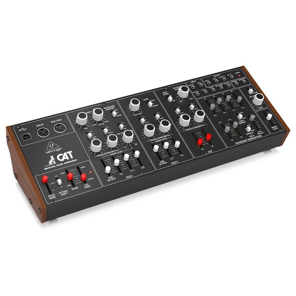 CAT Synth - Angled 2