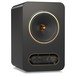Tannoy GOLD 8 - Angled