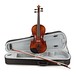 Gewa Allegro VL1 4/4 Violin Outfit, Bulletwood Bow and Shaped Case