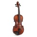 Gewa Allegro VL1 3/4 Violin Outfit, Bulletwood Bow and Shaped Case, Top