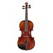 Gewa Allegro VL1 3/4 Violin Outfit, Bulletwood Bow and Shaped Case, Front