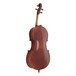 Gewa Allegro VC1 4/4 Cello, Bulletwood Bow and Bag