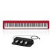 Casio PX S1000 Digital Piano with SP-34 Pedal, Red